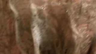 Mature Blonde and Brunette Enjoy Intense BBC Action