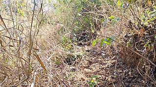 I Fucked My Old Girlfriend in the Forest