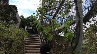 Cute Asian GF big ass anal fucking