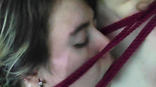 I Kissed a Girl and I Liked It