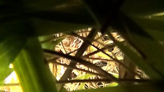 Korean wife on couch Amateur Asian Japanese Korean Webcams