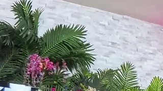 Gorgeous Beca Barbie Meets Up With Nade Nasty For Extreme Sex!