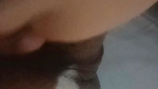 Wife Giving Blowjob