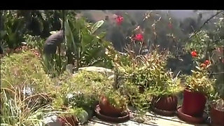 Pussy licking pussy fingering masturbating in the garden