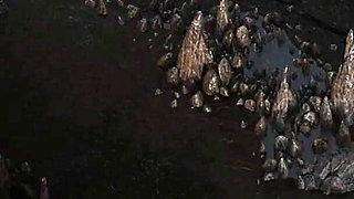 The Genesis Order V19032 Part 44 a Brave Man by Loveskysan69