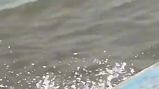 A Journey Through the Sea