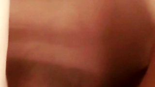 Pussy Delight - Colour Version