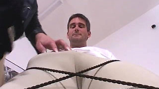 Mrs Harringtons Revenge