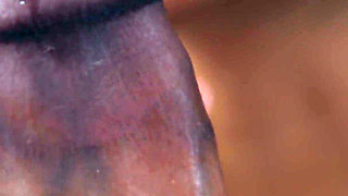 Cock Crook Futanari