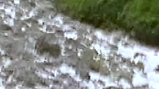 Sexy MILF Naked on the Nudist Beach