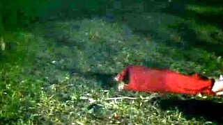 Perfect Pussy Close up milf Selda