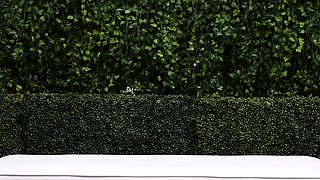 CIMA black and ebony