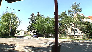 Bus Stop Encounter