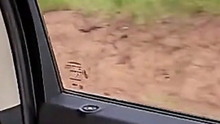 Agatha Mama in on the Road I Alone Decided to Relax, I Had Just Forgotten That It Was Good Friday