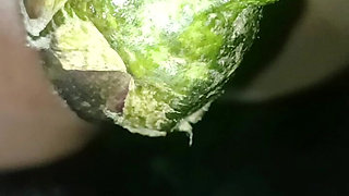 Priti's Fun: a Sex Video for Rahul