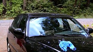 Big-Cock Hunk Jerks Off Outdoors