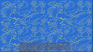 The Selkie (part 1)