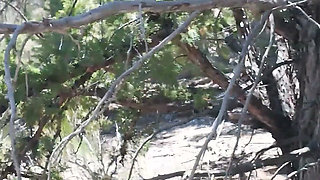 Slut Hunt Ep.16: Bimbo Slut Danae Gets Filled with Sperm