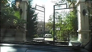 The Sexy Boss of the Mafia