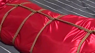 Pink Bed Sheets and Compression Bags