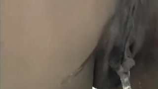 In the Toilet Farting Pissing Compilation