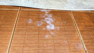 We Can Share the Bathroom but Fuck Me First, Just Don't Get Me Pregnant