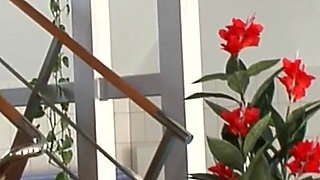 First They Take Pictures Then They Each Other