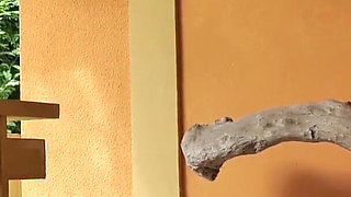 Watch me bull! And then fuck me... part. 1