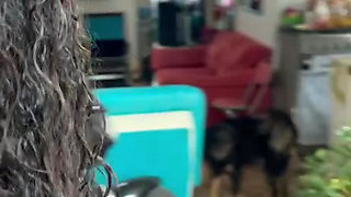 An ordinary afternoon at home that ended with an unexpected visit