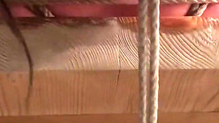 Busty MILF Denise hogtied bitgagged titgrabbed and what not