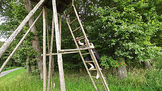 Xxl Pissing From Above in the Forest